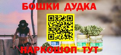 гидра Будённовск