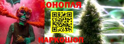 гидра Будённовск